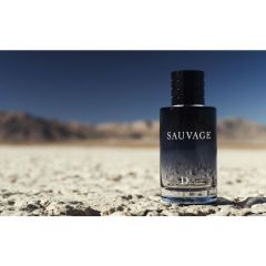 Christian Dior Sauvage EDT 100ml Erkek Parfümü