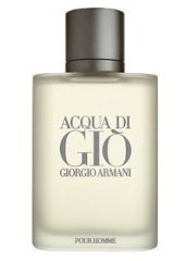 Giorgio Armani Acqua Di Gio EDT 100 ml Erkek Parfümü